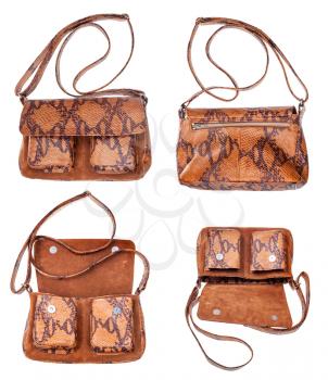 set of brown handbag handmade from snake leathers isolated on white background