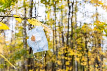 dirty disposable face mask hanging on tree branch with yellow leaves in city park on autumn day