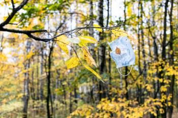 used sanitary face mask hanging on tree branch with yellow leaves in city park on autumn day