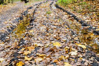 surface of country road covered with fallen leaves in city park on autumn day