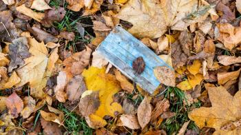 panoramic view of dirty used face mask in wet fallen leaves on lawn in city park in autumn