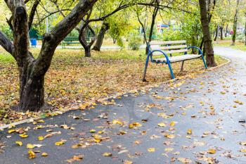 empty wooden bench on lawn covered by fallen leaves in public city garden on rainy autumn day