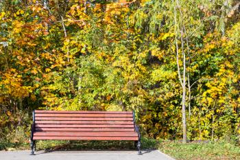 front view of wooden bench under colorful trees in city park on sunny autumn day