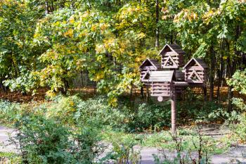 wooden bird feeder in city park on sunny autumn day