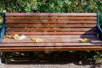 front view of wooden bench with used medical face mask and yellow fallen maple leaves in city park on sunny autumn day