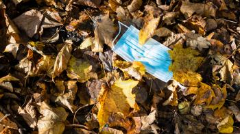 panoramic view of thrown sanitary face mask in leaf litter on sunny autumn day