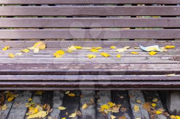 front view of old wooden bench with dropped sanitary face mask covered by yellow fallen leaves in city park on autumn day