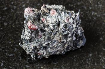 macro photography of sample of natural mineral from geological collection - unpolished red Garnet crystals in Biotite rock from Yelovyy Navolok, Shueretskoye deposit, Karelia, Russia on black granite