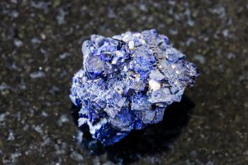 macro photography of sample of natural mineral from geological collection - raw Azurite mineral crystals from Jezkazgan, Kazakhstan on black granite background