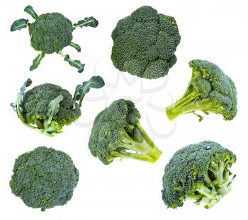 collection of fresh green Broccoli isolated on white background
