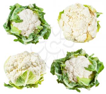 collection of fresh ripe Cauliflowers isolated on white background