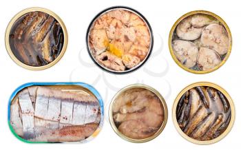 collection of canned fishes isolated on white background