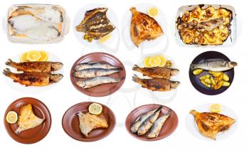 collection of various fried fishes (river trout, herring, sprat, pollack, flounder, seabass, labrax, seabream, orata, etc) isolated on white background