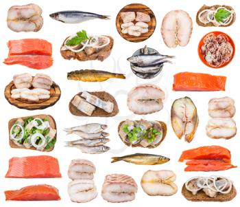 set of various salted fishes isolated on white background