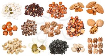 set of various nuts (walnut, pumpkin, pine, pistachio, cedar, hazelnut, almond, sunflower, etc) isolated on white background