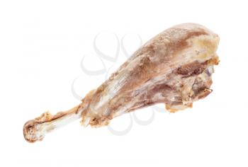 single boiled turkey drumstick isolated on white background
