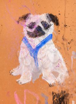 sketch of white puppy with black ears and blue dog breast-band hand-drawn by pastel on brown paper