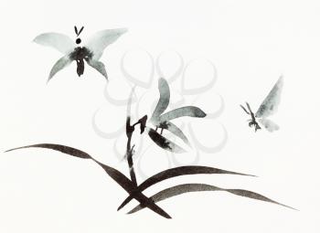 butterflies fly over flower hand-drawn by black watercolor on white paper in sumi-e (suibokuga) style