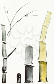 training drawing in sumi-e (suibokuga) style with watercolor paints - bamboo trunks are hand drawn on creamy paper