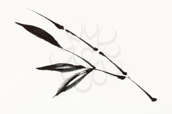 training drawing in sumi-e (suibokuga) style with watercolor paints - bamboo branch is hand drawn on creamy paper