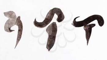 training drawing in sumi-e (suibokuga) style - stylized image of mushrooms handpainted by black watercolors on white paper