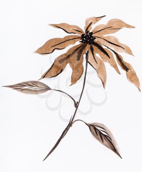 training drawing in sumi-e (suibokuga) style - poinsettia flower hand painted by brown watercolours on white paper