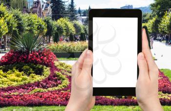 travel concept - tourist photographs of flowerbed on Kurortnyy bulvar in Kislovodsk town in Caucasian Mineral Waters region of Russia on smartphone with cut out screen with blank place for advertising