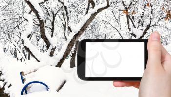 travel concept - tourist photographs of bench in snow-covered public urban garden in winter in Moscow city on smartphone with empty cutout screen with blank place for advertising