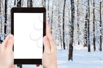 travel concept - tourist photographs of tree trunks in snowy city park in winter in Moscow city on smartphone with empty cutout screen with blank place for advertising