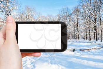 travel concept - tourist photographs of recreation area in city park in winter in Moscow city on smartphone with empty cutout screen with blank place for advertising