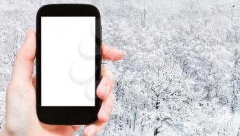 travel concept - tourist photographs of panoramic view of snow covered oak grove in city park in winter in Moscow city on smartphone with empty cutout screen with blank place for advertising