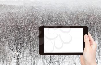 travel concept - tourist photographs of snowstorm over woods in city park in winter in Moscow city on smartphone with empty cutout screen with blank place for advertising