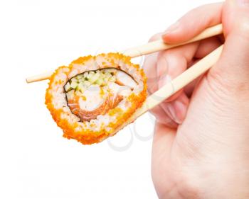 female hand with disposable chopsticks holds california ebi sushi roll close up isolated on white background