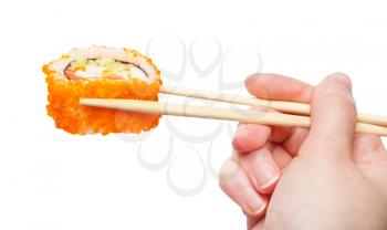 female hand with wooden chopsticks holds california ebi sushi roll isolated on white background