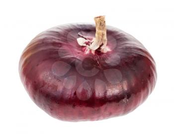 bulb of sweet crimean The Yalta onion isolated on white background