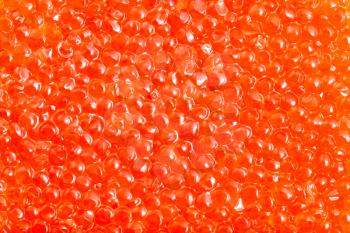 food background - salted russian red caviar of pink salmon fish close-up