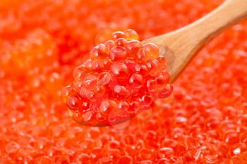 little wooden spoon with salted russian red caviar of sockeye salmon fish close-up and red roe of pink salmon on background