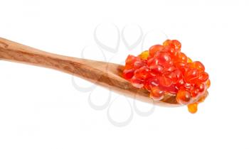 little wooden spoon with salted russian red caviar of sockeye salmon fish isolated on white background