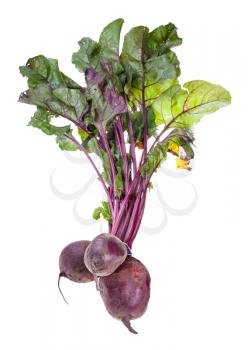 bundle of fresh organic garden beet roots with greens isolated on white background