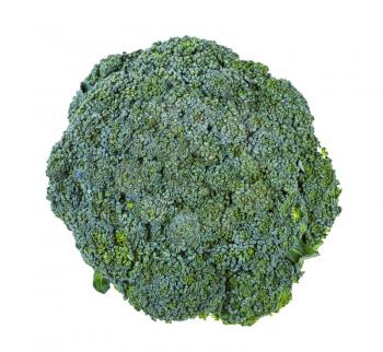 top view of fresh green Broccoli isolated on white background