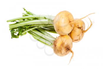 bunch of fresh yellow turnips with stems isolated on white background