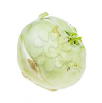 single fresh root of kohlrabi cabbage isolated on white background