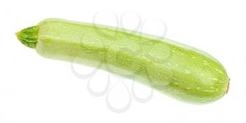 ripe fresh vegetable marrow squash isolated on white background