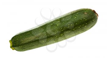ripe green zucchini vegetable isolated on white background