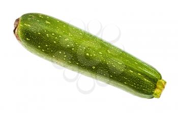single green zucchini vegetable isolated on white background