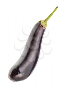 ripe long dark purple eggplant isolated on white background