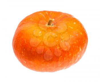 single ripe orange pumpkin isolated on white background