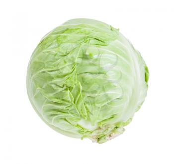 fresh white cabbage isolated on white background