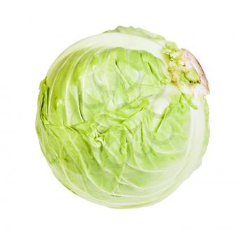 single fresh white cabbage isolated on white background
