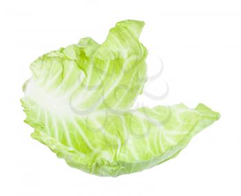 fresh leaf of white cabbage vegetable isolated on white background
